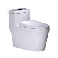 chaozhou factory price ceramic toilet wc one piece siphon indoor toilet closet