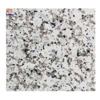 Good price prefab Bala white grey granite countertops for bathroom