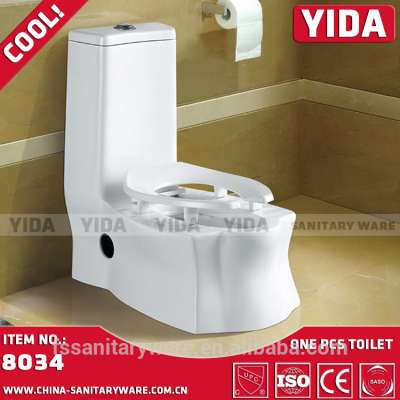 washdown toilet _ seat and squat toilet_ceriamic toilet_and modern design